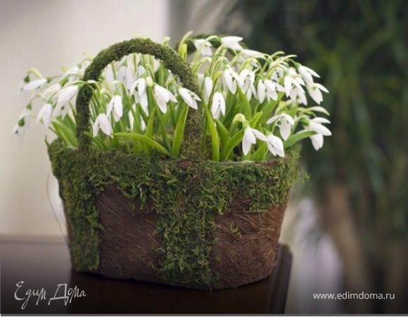 Ирочка, поздравляем с Днем Рождения!!!