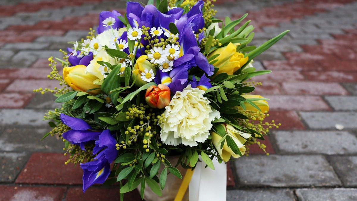 Автор месяца по итогам июля! Автор месяца по итогам июля!