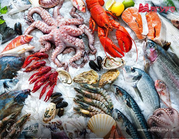 Тест: Узнай морепродукт по фото!
