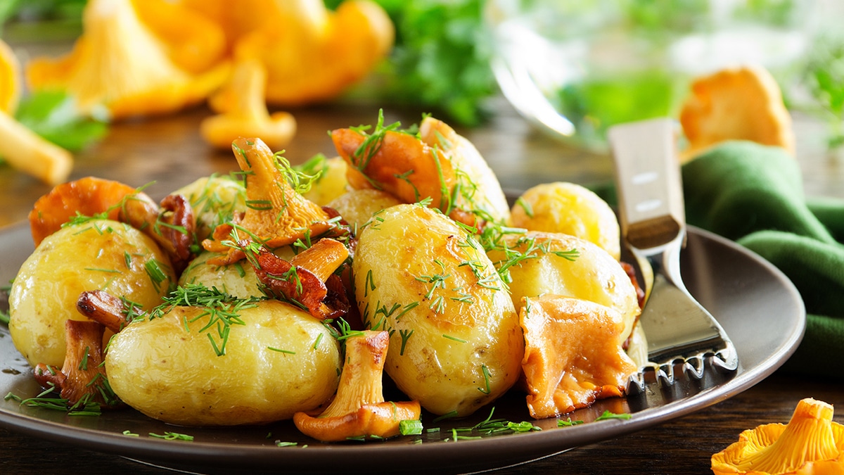 Грибное лукошко: блюда из грибов для всей семьи Грибное лукошко: блюда из грибов для всей семьи