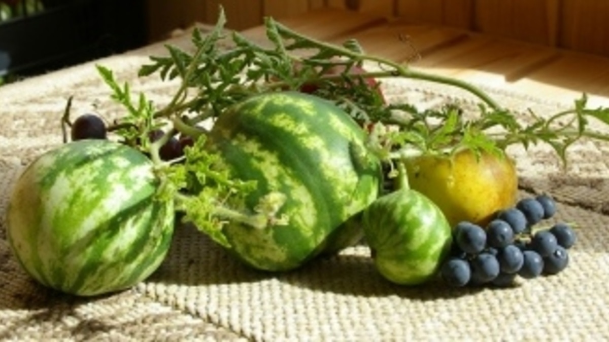 Спешу поделиться радостью! Спешу поделиться радостью!