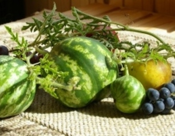 Спешу поделиться радостью!