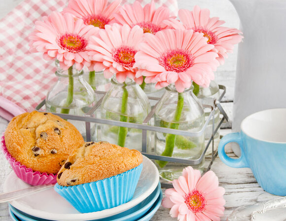 Автор года 2016! Автор года 2016!