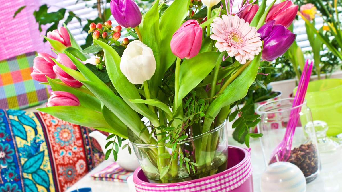 Январь 2017: автор и рецепты месяца