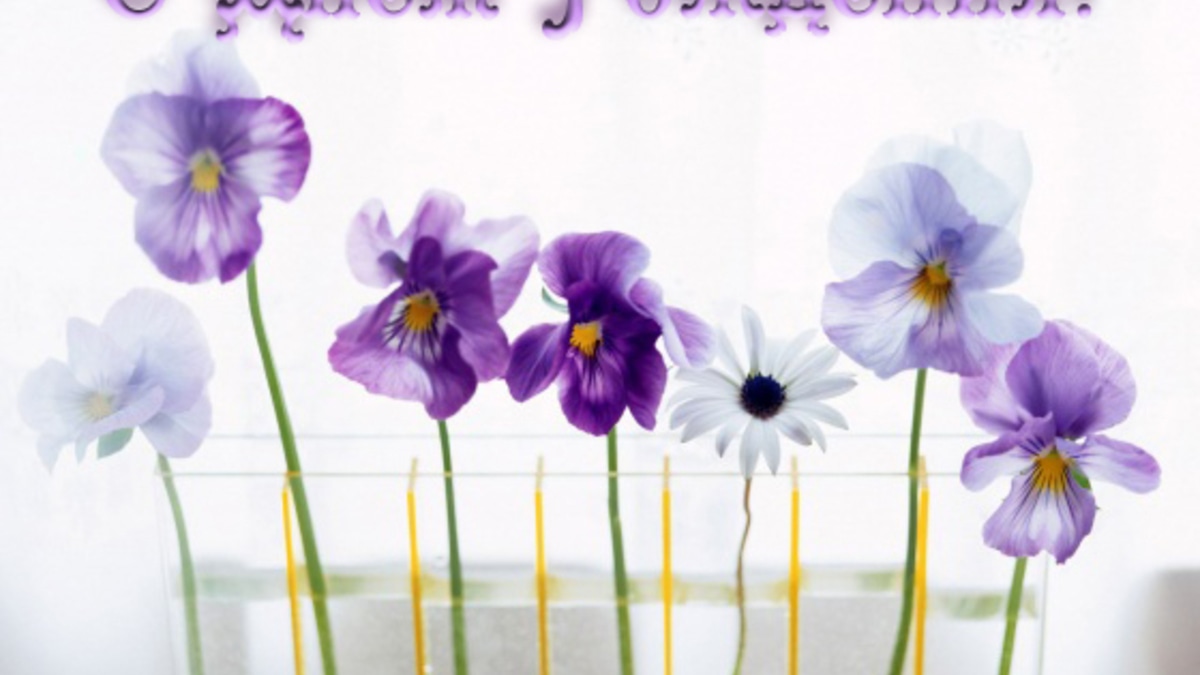 Леночка (Елена Ковач, kovachev)