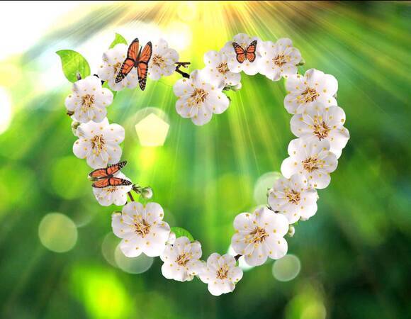 Всех кулинарочек поздравляю с 8 Марта!!!