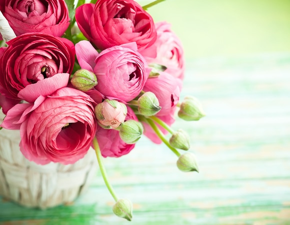 Светочка (Стелла), поздравляем с Днем рождения! Светочка (Стелла), поздравляем с Днем рождения!