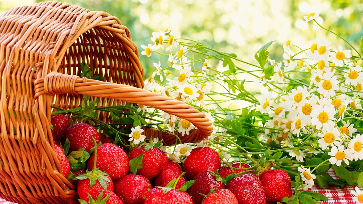 Апрель 2017: автор и рецепты месяца