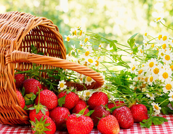 Апрель 2017: автор и рецепты месяца