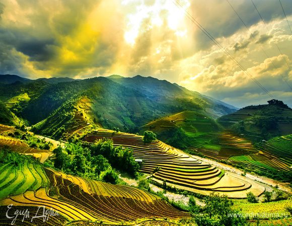 Чудеса света: знаменитые рисовые поля мира