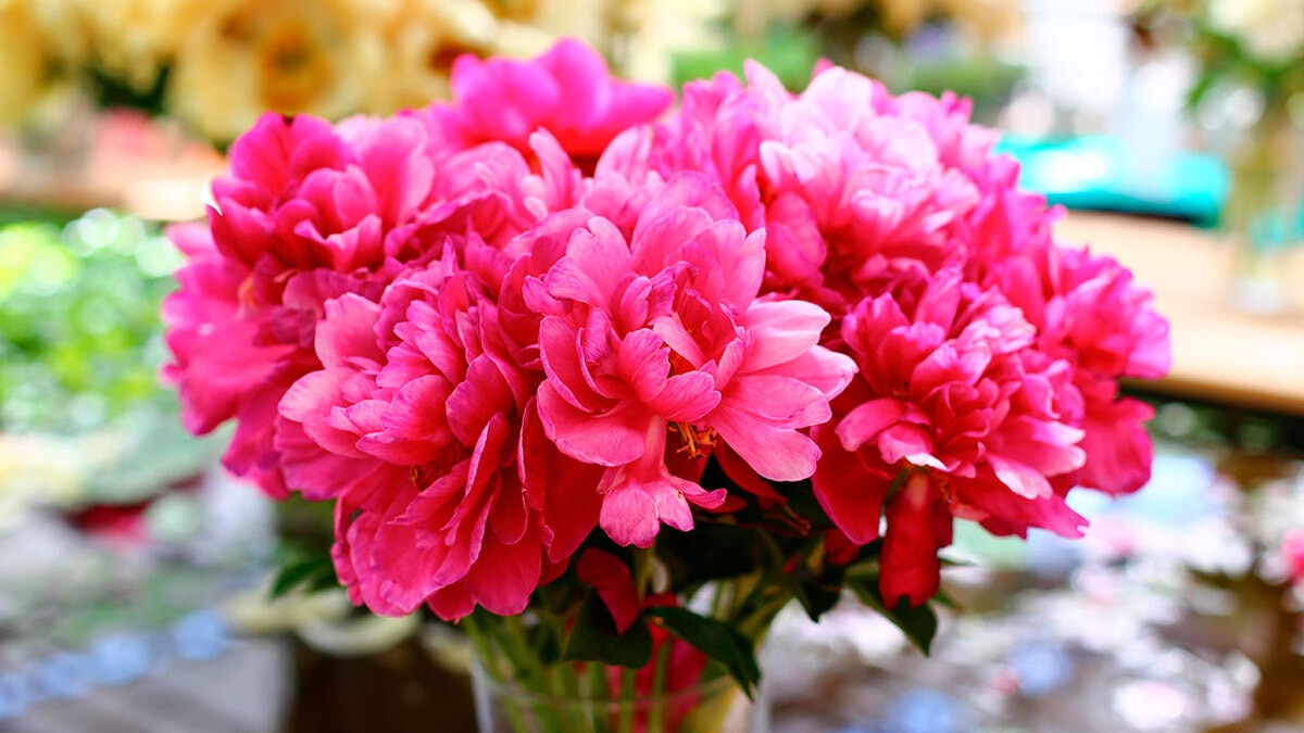 Май 2017: автор и рецепты месяца Май 2017: автор и рецепты месяца