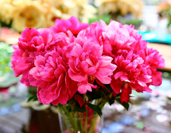 Май 2017: автор и рецепты месяца