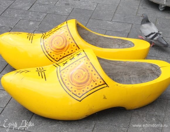 Незабываемое путешествие от Princess в гости к «королеве тюльпанов» — Голландию!