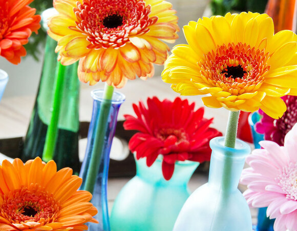 Июнь 2017: автор и рецепты месяца