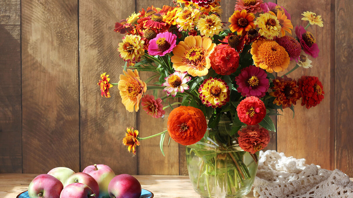 Июль 2017: автор и рецепты месяца