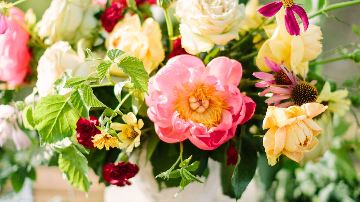 Юлия Высоцкая, с днем рождения!