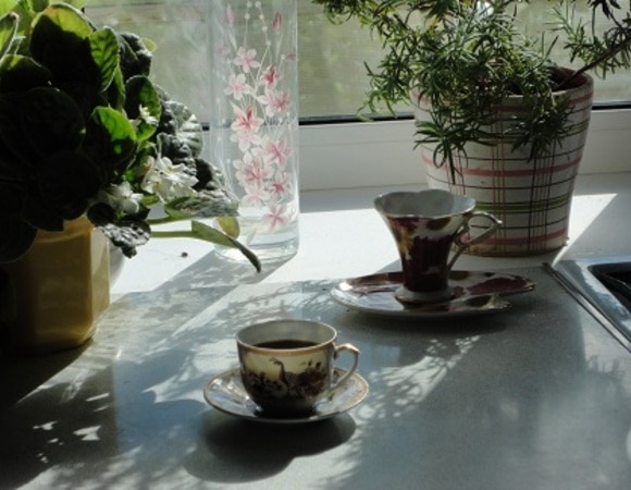 После дождя...