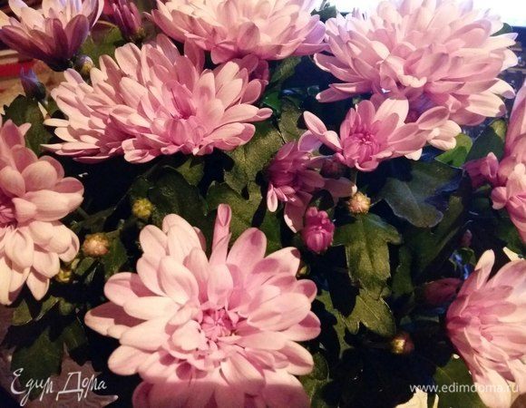 Шагая по вашим рецептам