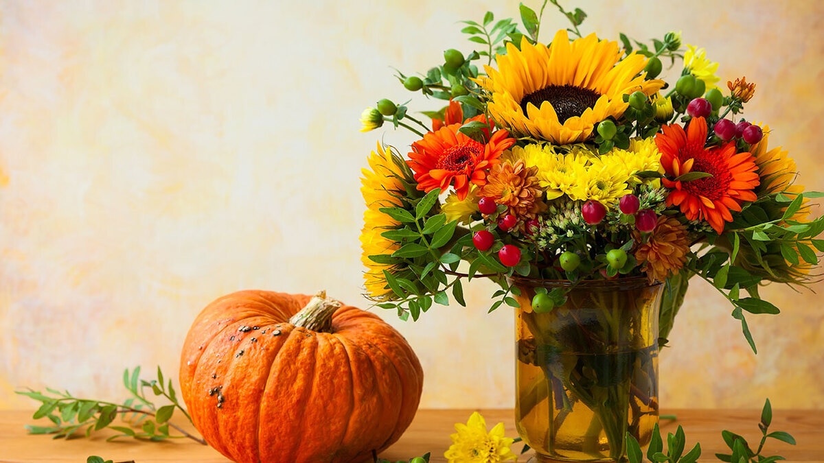 Август 2017: автор и рецепты месяца