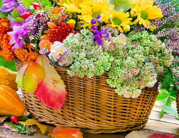 Мой первый отчет