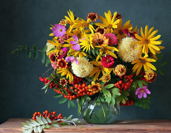 Сентябрь 2017: автор и рецепты месяца