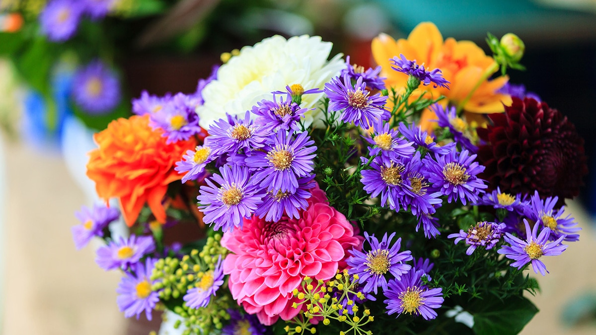 Моя благодарность