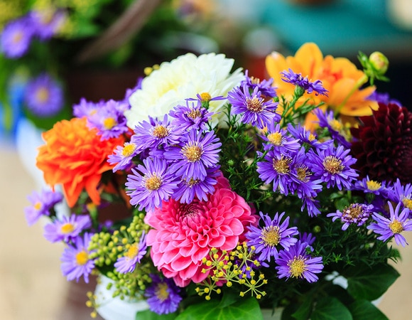 Моя благодарность Моя благодарность