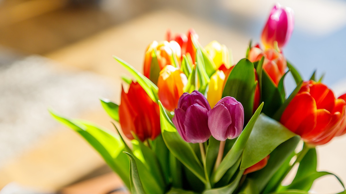 С Международным женским днем!