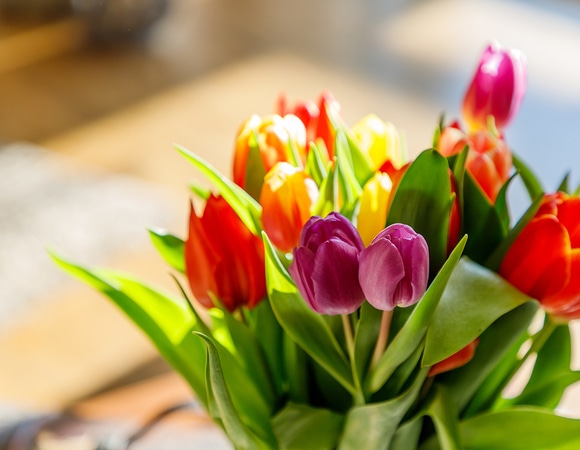 С Международным женским днем!