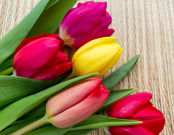 С днем рождения, Елена (Елена Ковач)!