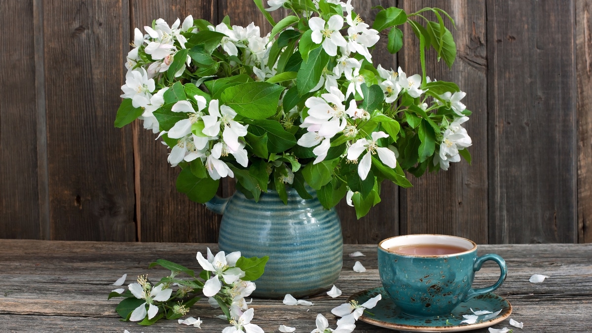 Март 2018: автор и рецепты месяца