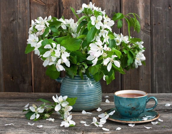 Март 2018: автор и рецепты месяца