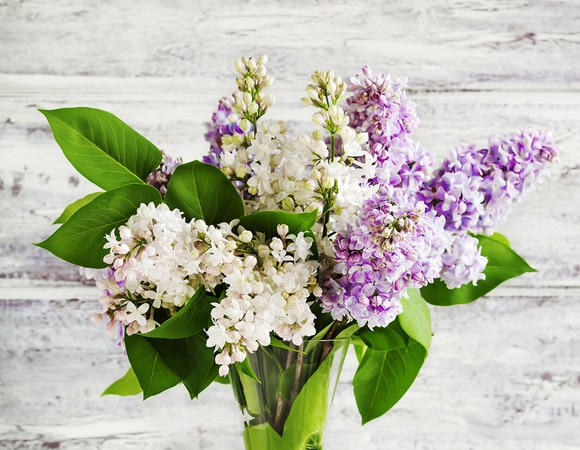 Апрель 2018: автор и рецепты месяца