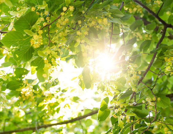 Спасибо за работу!