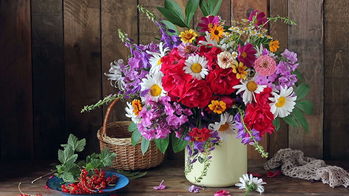 Июнь 2018: автор и рецепты месяца Июнь 2018: автор и рецепты месяца