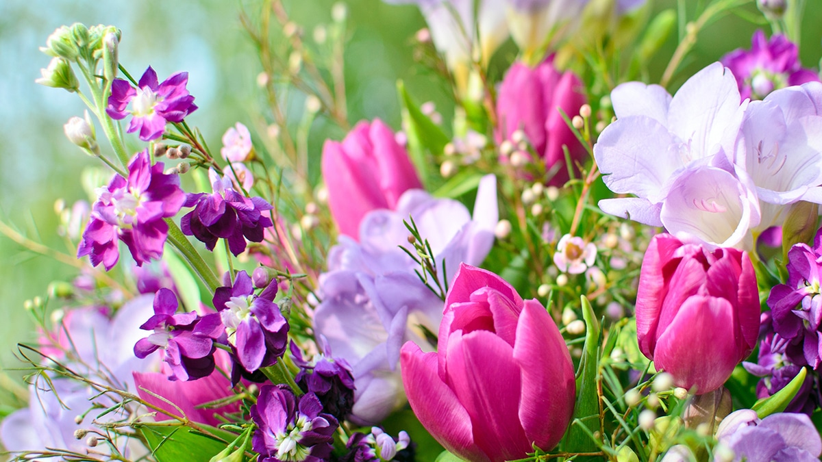 Со словами благодарности ТМ «Националь» и сайту «Едим Дома»!