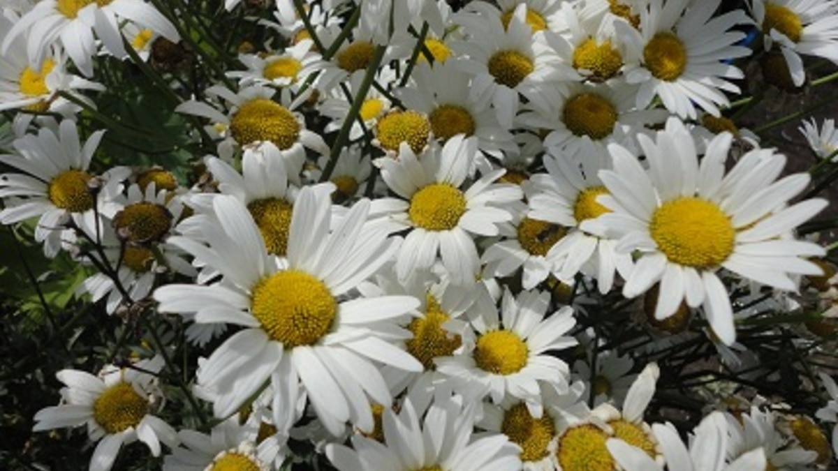 Спасибо за подарки!