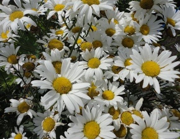 Спасибо за подарки! Спасибо за подарки!