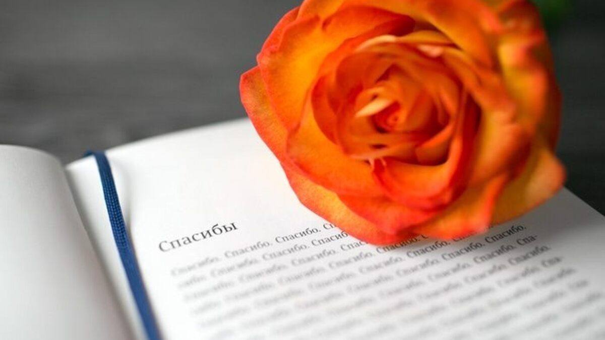 Благодарю команду «Eдим Дома» и всех-всех-всех!