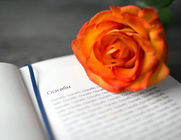 Благодарю команду «Eдим Дома» и всех-всех-всех! Благодарю команду «Eдим Дома» и всех-всех-всех!