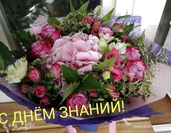 День знаний! 