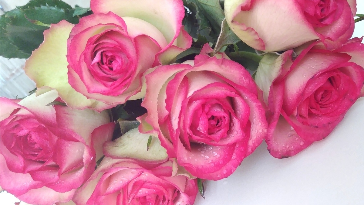 Спасибо за подарки! Спасибо за подарки!