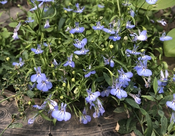 Спасибо за все! Спасибо за все!