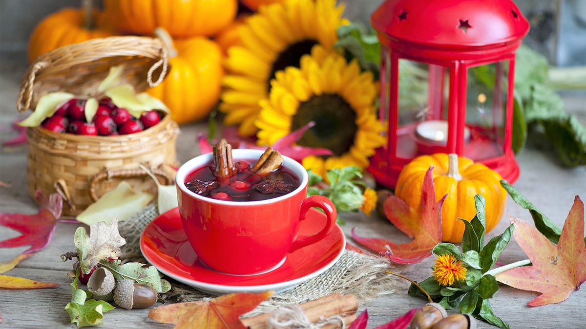 Октябрь 2018: автор и рецепты месяца