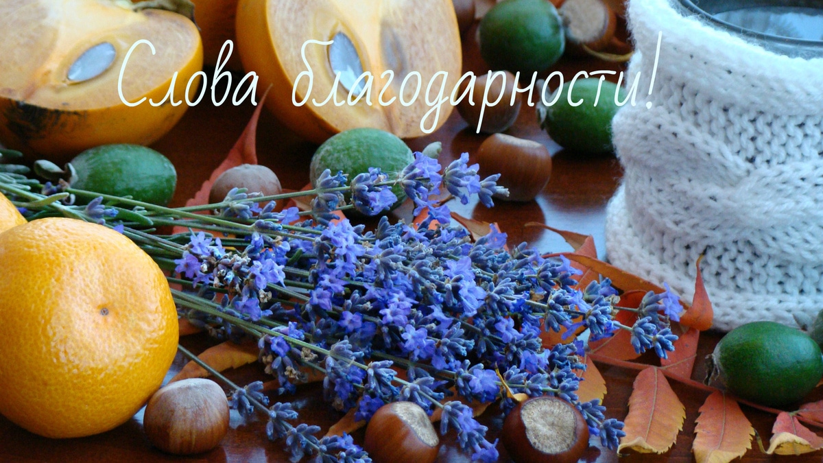 Слова благодарности!