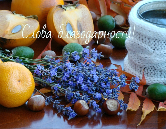 Слова благодарности!