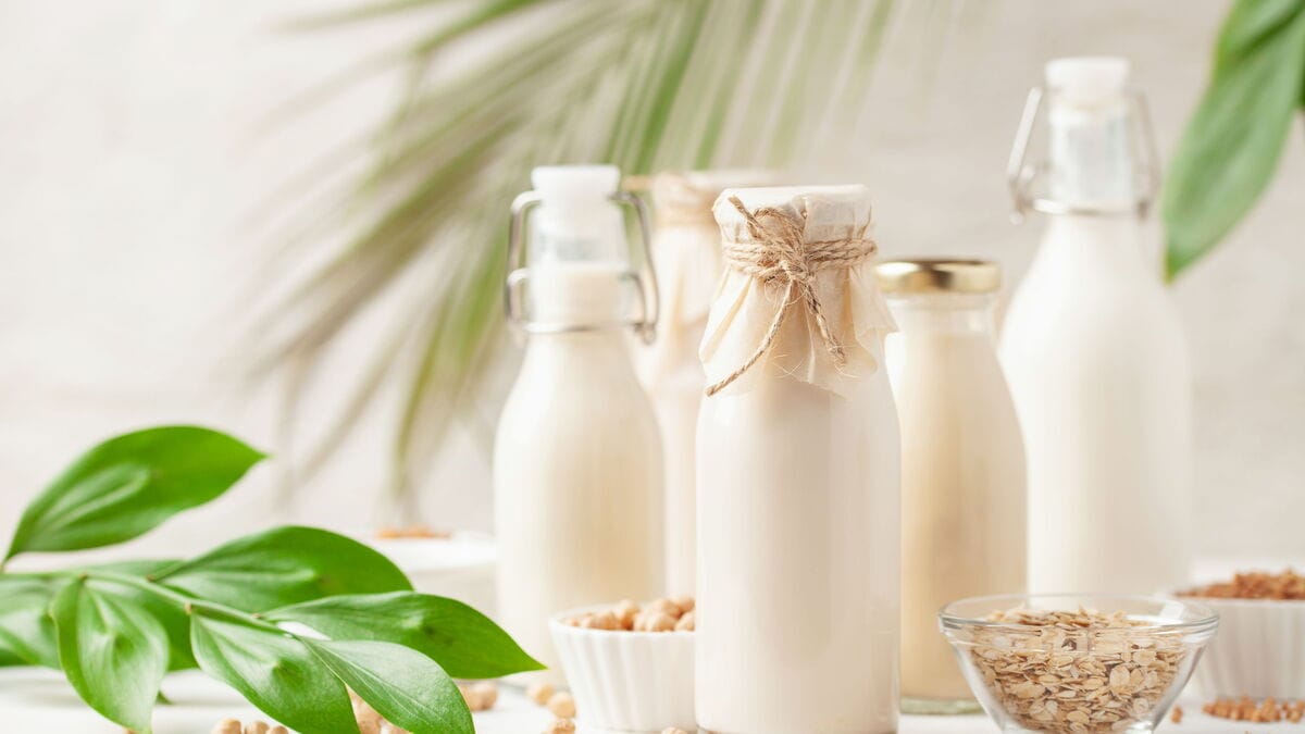 Как приготовить растительное молоко в домашних условиях Как приготовить растительное молоко в домашних условиях