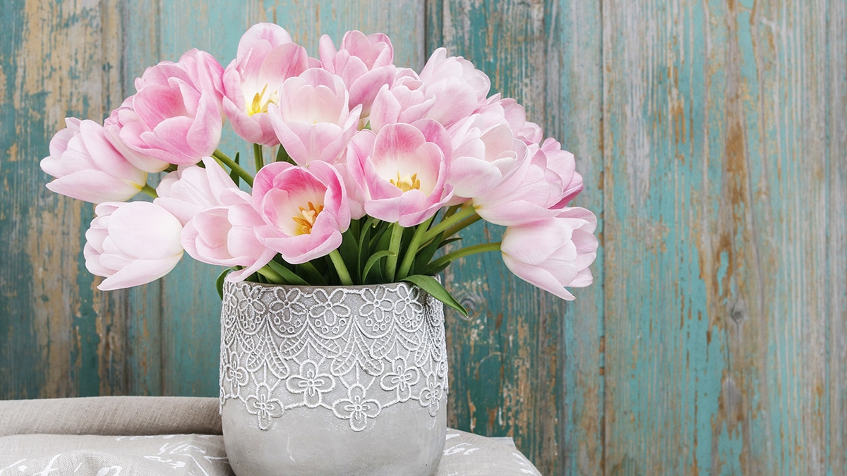 Март — 2019: автор и рецепты месяца