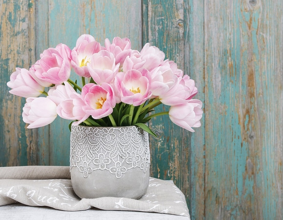 Март — 2019: автор и рецепты месяца