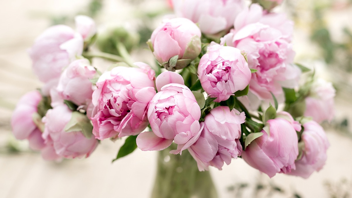 Май — 2019: автор и рецепты месяца